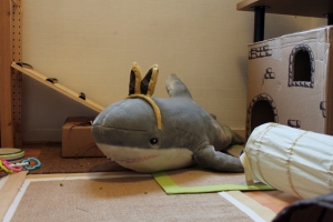 Rufus the shark, all alone.